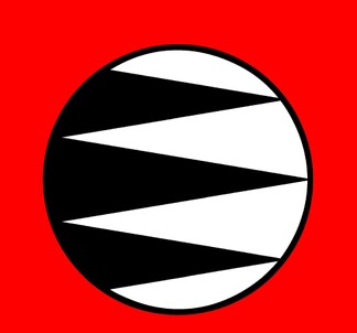 Distinct Innovations company logo