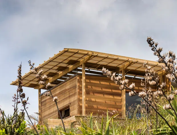 Exterior view of a compact contemporary timber building set within dense natural planting. The structure has horizontal timber cladding, a projecting slatted timber roof canopy, open-sided roof shading, and simple rectangular openings. Dramatic overcast sky and foreground foliage create a rugged, organic setting.