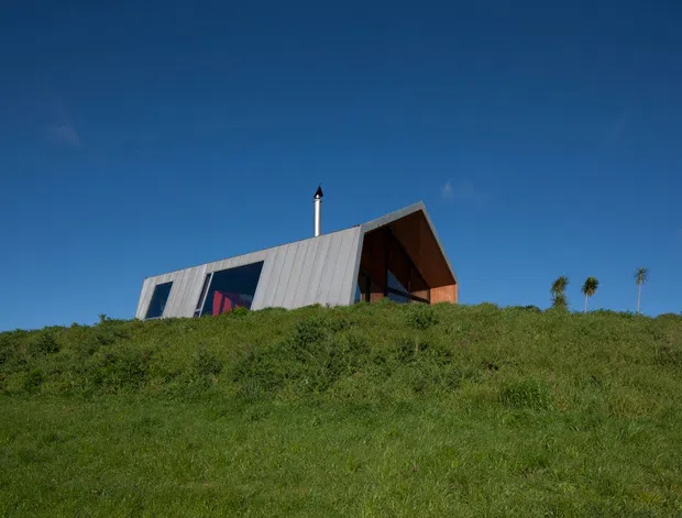A low, angular contemporary house is viewed from below across a grassy hillside. The building has a sharply pitched asymmetrical roof, silver-grey metal cladding, dark glazing, a warm timber-lined recessed entrance or gable, and a slim chimney. Several tall palm-like plants stand near the right side against a clear blue sky.