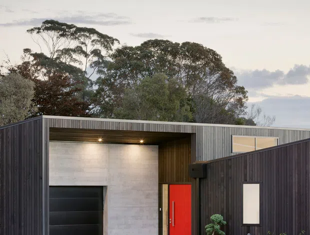 A modern single-storey home exterior with a flat roof and strong horizontal composition. The facade combines dark vertical timber cladding, exposed concrete around the garage entry, a black garage door, and a vivid red front door. Minimal landscaping, sculpted greenery, and a manicured lawn sit in front of the house, with mature trees behind it under an overcast sky.