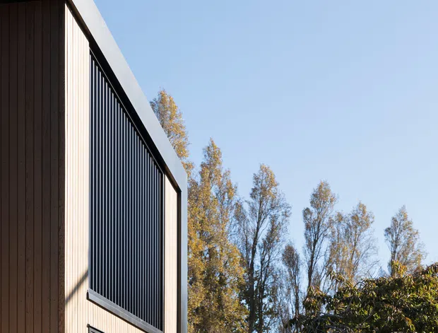 Exterior architectural view of a contemporary building with a steeply angled roof edge, dark vertical timber cladding, a large black vertical-bar screen over an upper opening, and a lower glazed window. A grey concrete block boundary wall occupies the foreground, with mature trees and clear blue sky behind the structure.