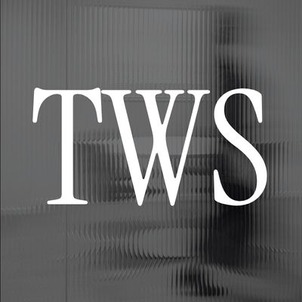 The Workspace Strategist company logo