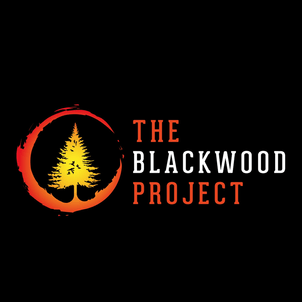 The Blackwood Project company logo