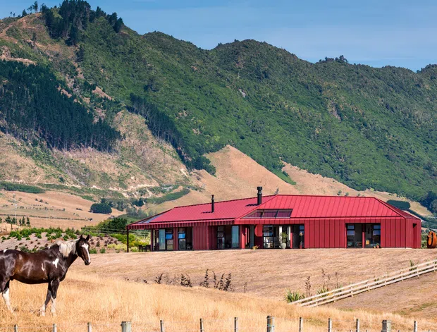 A low, elongated rural building with vivid red corrugated metal cladding and a matching pitched roof sits in a dry cultivated valley. Large glazed openings face the foreground, while timber post-and-rail fencing, a horse, vineyard or orchard plantings, and steep forested hills establish a rural mountain setting.