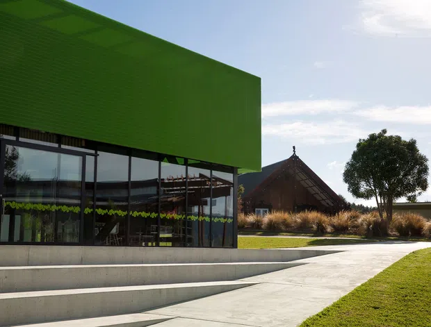 Exterior architectural photograph of a contemporary low-rise building with a vivid green perforated or textured upper facade projecting over a fully glazed ground level. Broad concrete steps and a paved pedestrian approach lead through landscaped lawns toward the building. A distinctive steeply pitched, dark-roofed structure is visible in the background, with ornamental grasses and a clipped tree contributing to the landscaped setting.