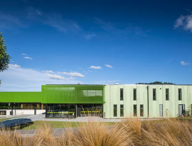 Exterior view of a contemporary low-rise commercial building with a vivid lime-green projecting volume and a pale vertically ribbed facade. The building has extensive glazing beneath the green upper section, narrow vertical windows in the main block, a flat roof, and landscaped ornamental grasses in the foreground. A broad blue sky and surrounding trees frame the property.