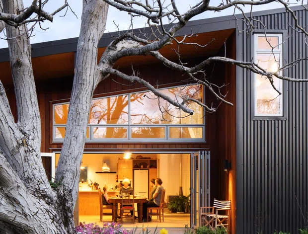 A dark corrugated-metal-clad modern house viewed from a landscaped garden. A large mature deciduous tree dominates the foreground, partially screening the facade. The home features a recessed timber-lined entry or living zone, broad horizontal glazing, a tall narrow window, and an open glazed doorway revealing a warmly lit dining and kitchen area inside. Flowering garden beds, lawn, and an outdoor chair soften the robust dark exterior.