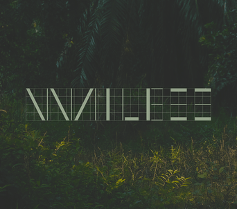 Walless Architecture company logo