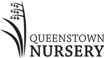 Queenstown Nursery company logo