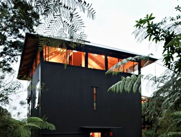A compact, multi-level dark-clad house viewed from a gravel approach in dense fern-filled woodland. The building has a simple rectilinear form, black vertical cladding, broad upper-level glazing, and warm orange interior lighting visible through the windows and entrance. Vegetation partially frames the structure, creating a secluded forest setting.