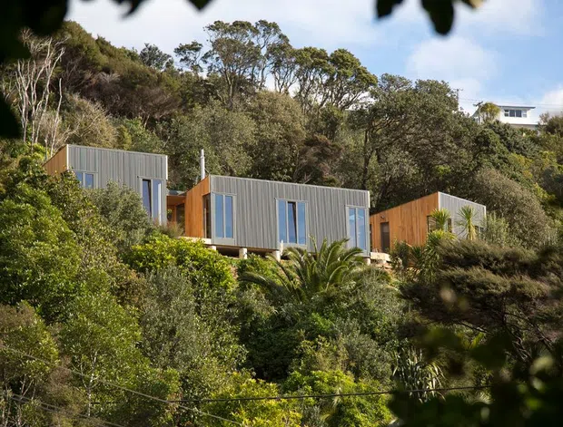 Exterior view of a compact cluster of contemporary modular or cabin-like dwellings set into a densely vegetated, sloping bush site. The buildings feature corrugated grey metal cladding, warm timber-clad sections, simple rectangular forms, and narrow vertical windows, with mature native-looking vegetation surrounding the structures.