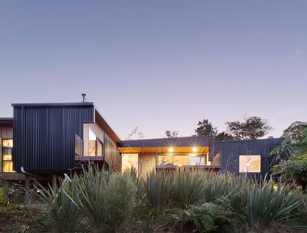 A contemporary single-storey home nestled in dense native landscaping, photographed at dusk. The building has dark vertically ribbed metal cladding, warm illuminated glazing, and a low, angular form with a taller projecting wing. Spiky grasses, ferns, and mature trees surround the residence.