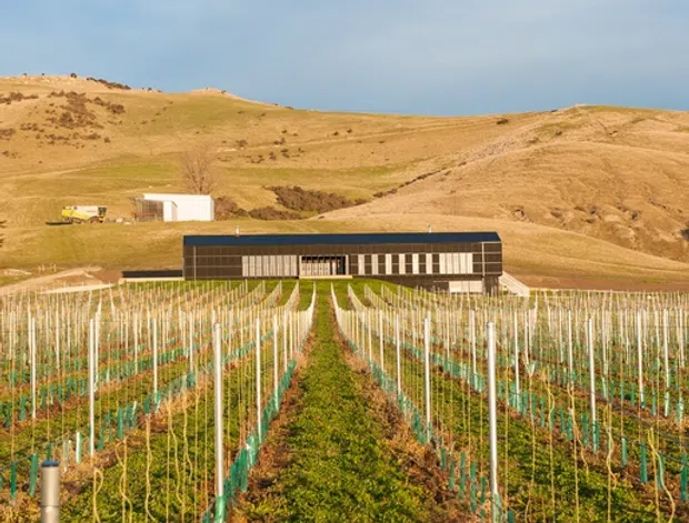 A long, low modern agricultural building sits beyond neatly aligned rows of cultivated vines or orchard plants. The rural landscape is dominated by rolling golden hills, with a small utility structure and farm equipment nearby under a broad blue sky. The image emphasizes the relationship between the simple dark-clad building and the productive rural landscape.