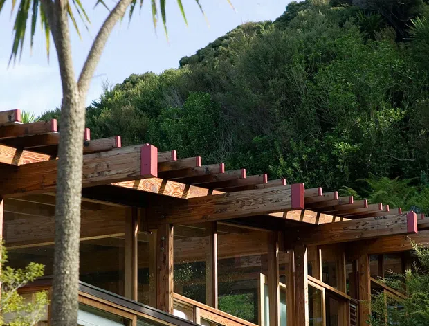 Exterior architectural view of a timber-clad house or pavilion set into dense native vegetation on a sloping site. The building features extensive glazing, exposed timber posts and beams, a projecting pergola or post-and-beam roof structure with red-painted beam ends, and horizontal timber screening. A tall palm-like tree dominates the foreground, while the surrounding bush creates a private, natural setting.