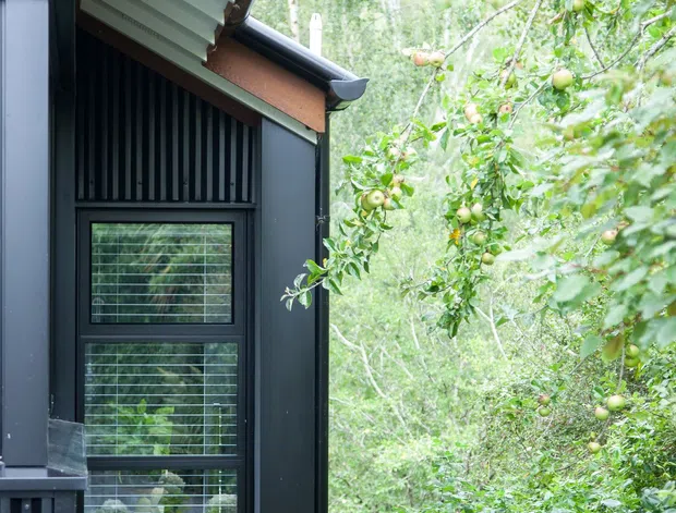 Close-up exterior view of a dark-clad building set within dense, leafy woodland. The facade features tall glazed windows with horizontal screening, vertical dark battens, corrugated metal roof eaves, and warm rust-coloured fascia boards. Lush garden planting and fruit-bearing branches frame the building.