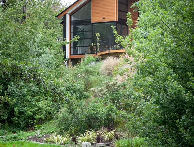 A compact contemporary timber-clad house set into a densely planted, sloping garden. The elevated dwelling features a steep gable roof, warm horizontal wood cladding, extensive dark-framed glazing, and a small balcony or terrace, partially screened by mature trees and layered ornamental planting.