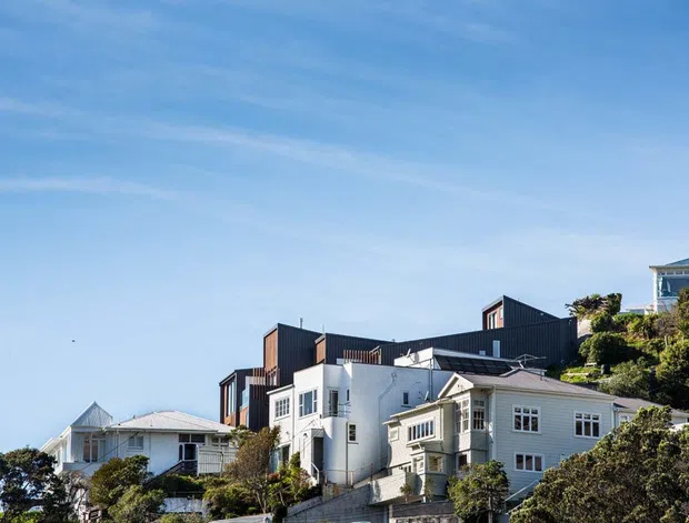 Exterior view of several residential houses arranged on a steep, landscaped coastal hillside. The homes include a prominent pale weatherboard house with bay-window detailing, a white house with a light metal roof, and darker contemporary multi-level buildings behind them. The image is dominated by blue sky, dense shrubs, sloping terrain, and varied residential rooflines.