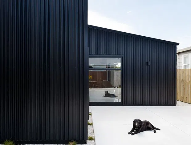 Exterior view of a contemporary dark-clad building with tall and low connected volumes, vertical ribbed metal cladding, large glazed opening, and a broad pale concrete driveway or courtyard. Minimal gravel landscaping and a timber fence are visible, with a dog resting in the foreground.