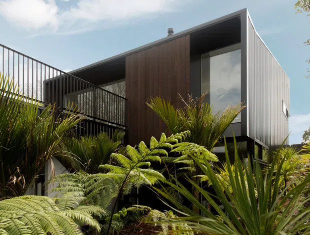 Exterior view of a contemporary multi-level residence partially screened by dense lush planting. The building has a sharply angled roofline, dark vertical timber cladding at the central facade, corrugated light-grey metal cladding on the side, large dark-framed glazing, and an upper balcony with slender black metal balustrades. Ferns and palm-like plants dominate the foreground.