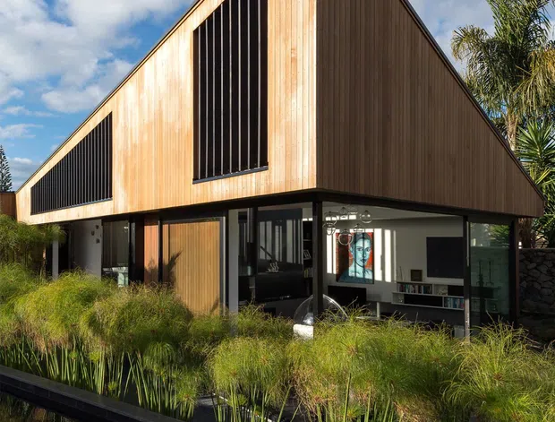 A contemporary two-storey house with a sharply pitched gable roof and extensive vertical timber cladding. Dark-framed glazing and tall black vertical screens punctuate the warm timber facade, while the open ground level reveals a modern living area. A narrow reflective water feature with grasses runs along the landscaped foreground, and palms and planting surround the building.