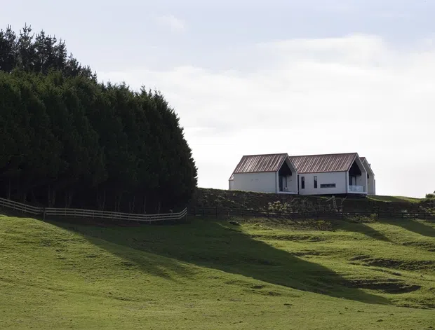 A small rural house with two connected gabled volumes sits on a gently elevated grassy site behind a low stone retaining wall. The white rendered exterior has dark pitched metal roofs and simple windows, with a dense row of trees forming a windbreak to the left. The scene has a quiet pastoral character and is photographed from across the sloping lawn.