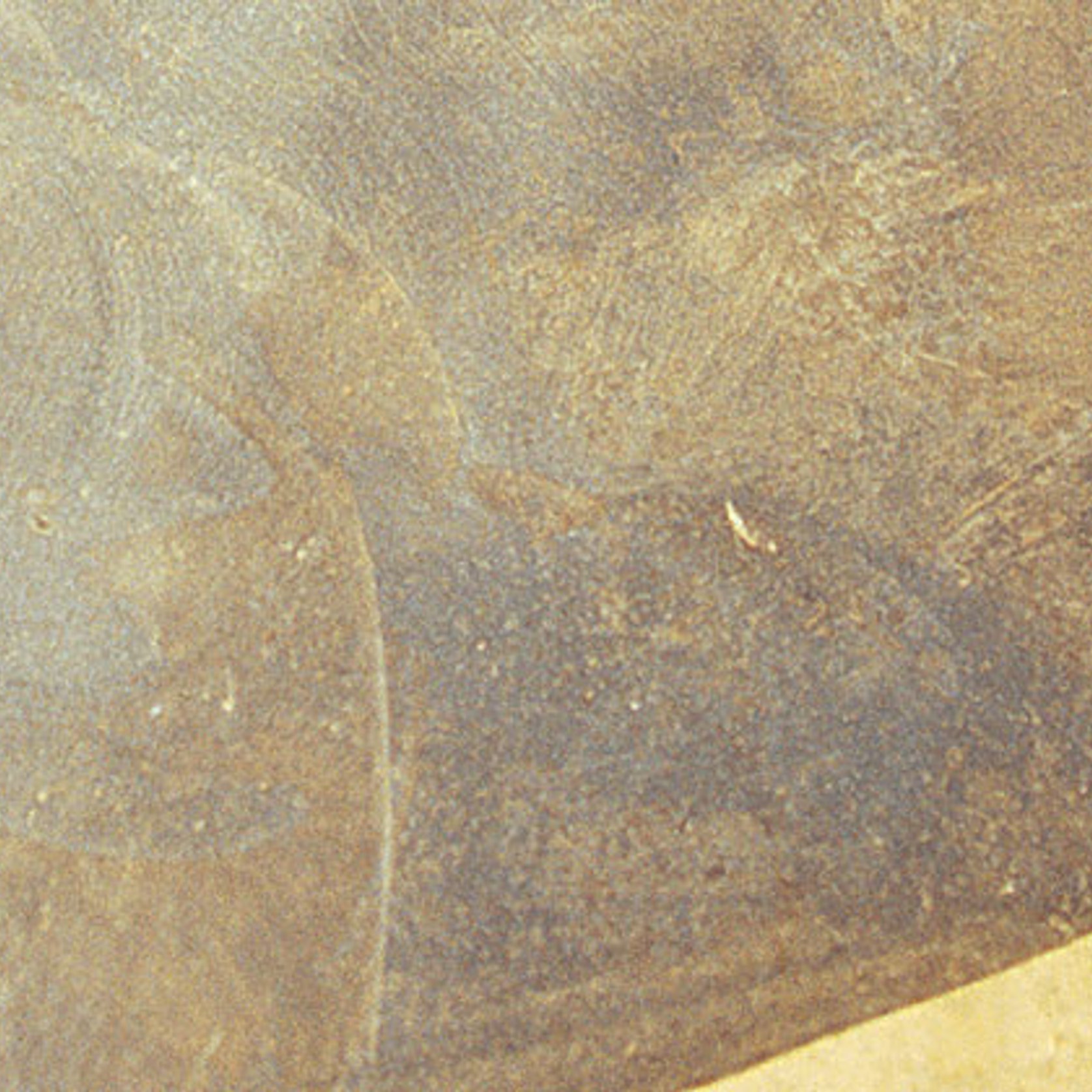 Concrete Wash ArchiPro NZ