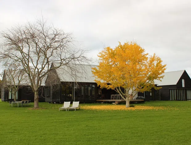 A low, elongated dark-clad building set within a broad manicured lawn, featuring multiple pitched roof forms, extensive floor-to-ceiling glazing, and a covered outdoor deck. Mature deciduous trees frame the building, including a prominent golden autumn tree, under an overcast sky.