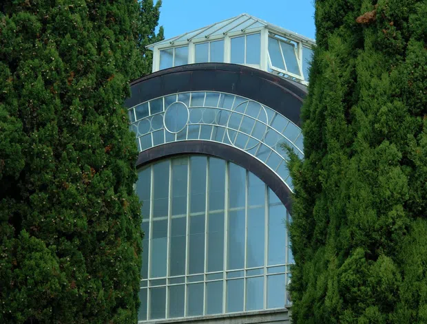 Exterior view of a tall glazed conservatory or greenhouse-like architectural structure, partially concealed between dense, formally clipped evergreen trees and palms. The facade features extensive pale framed glazing, a large curved and arched glass section with dark metal bands, a pyramidal glazed roof, and a lower brick base. Bright blue sky and garden planting surround the structure.