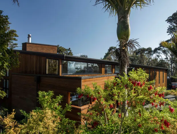 Exterior view of a low-rise contemporary house set within dense, mature landscaping. The building has dark timber cladding, broad horizontal glazing, a low-pitched roofline and clean rectilinear forms. Tropical and native-looking planting dominates the foreground, including a tall palm, with a clear blue sky behind.
