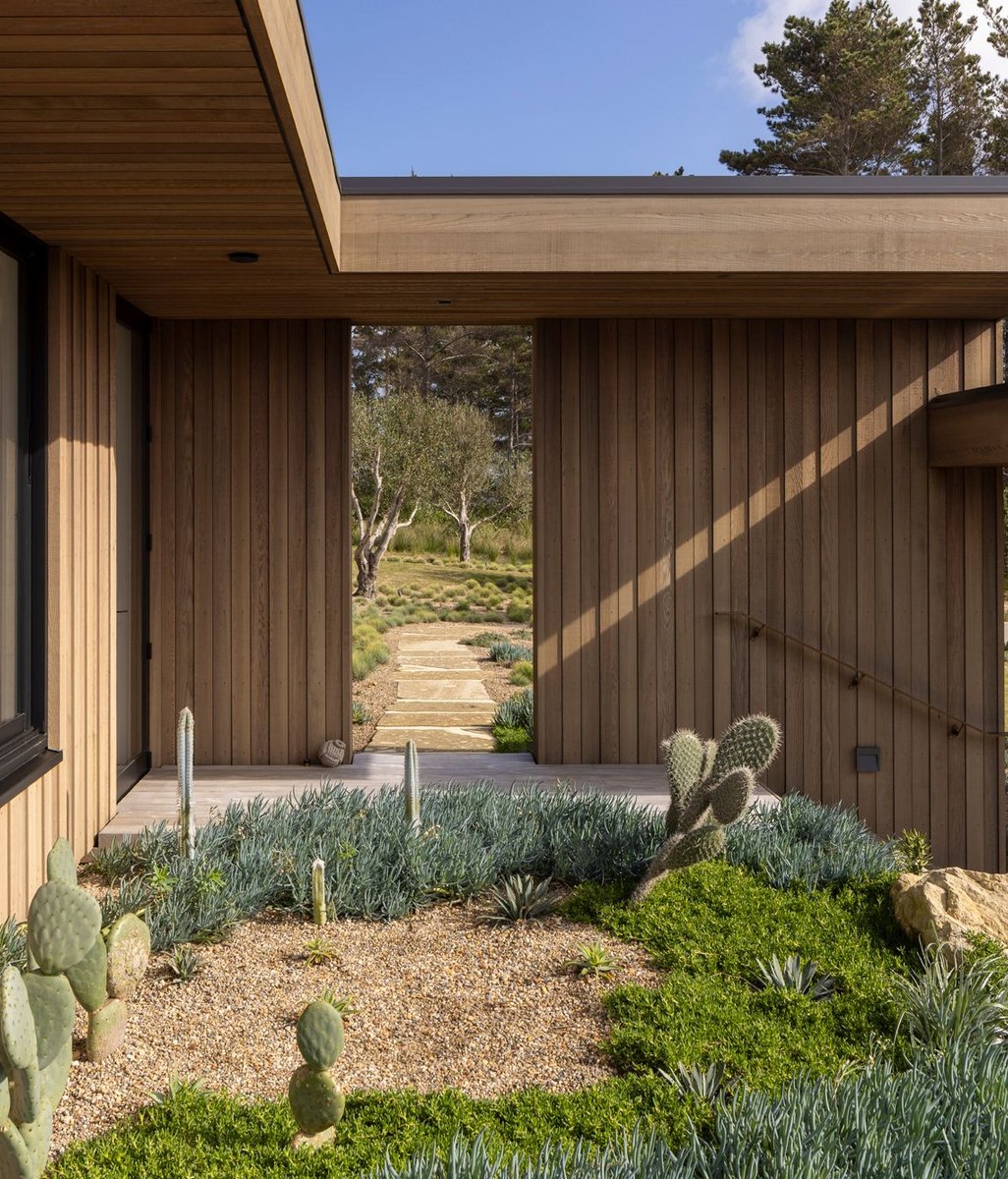 Why Western Red Cedar cladding is having a huge resurgence