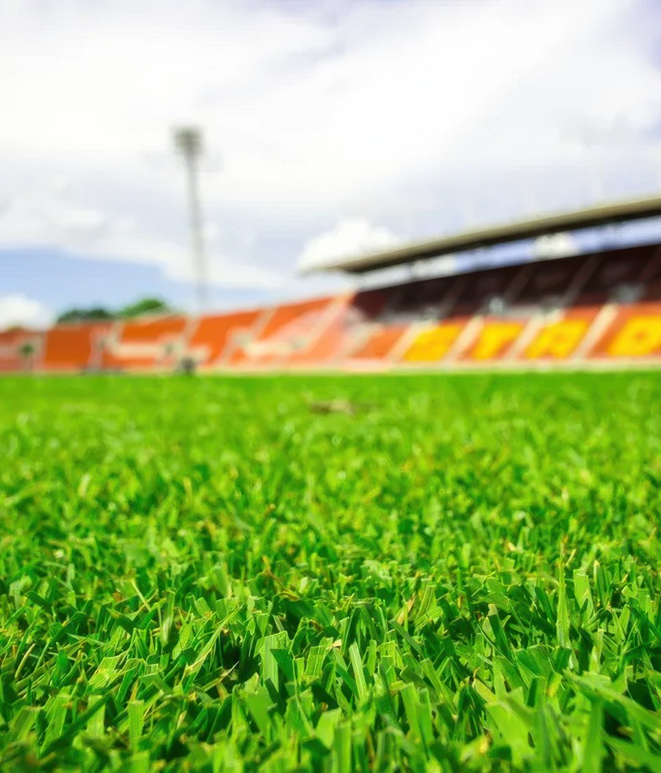 The Evolution of Artificial Grass: FIFA’s Impact on the Game