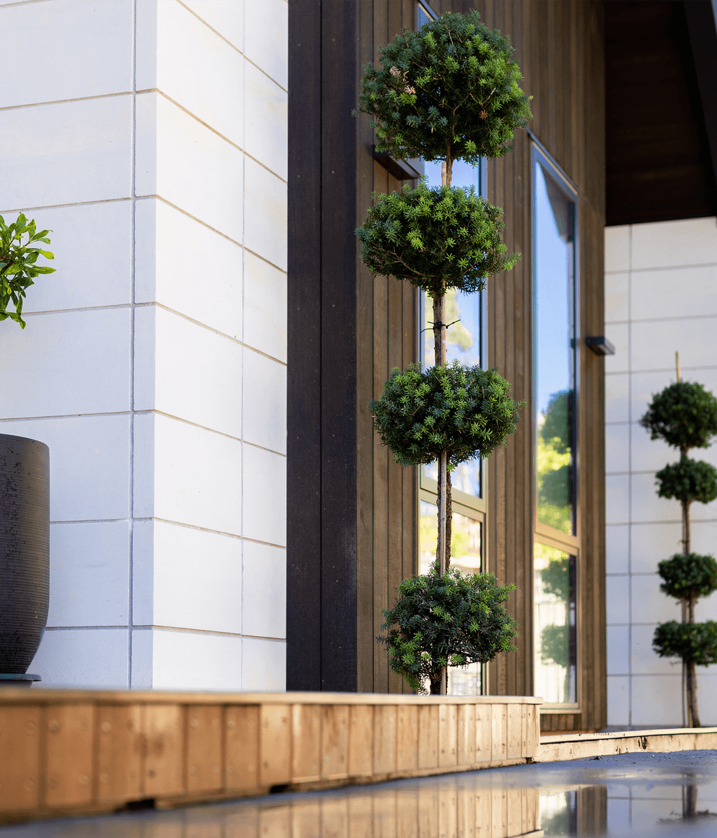 Preserving the Timeless Elegance of Oamaru Stone