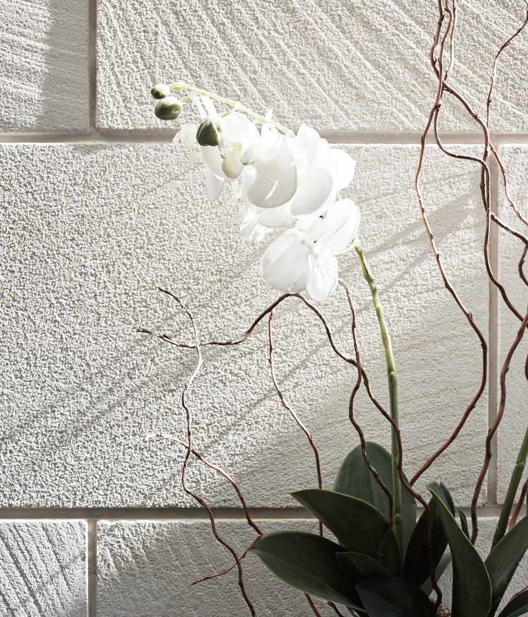 Oamaru Stone - New Zealand’s Limestone since 1900