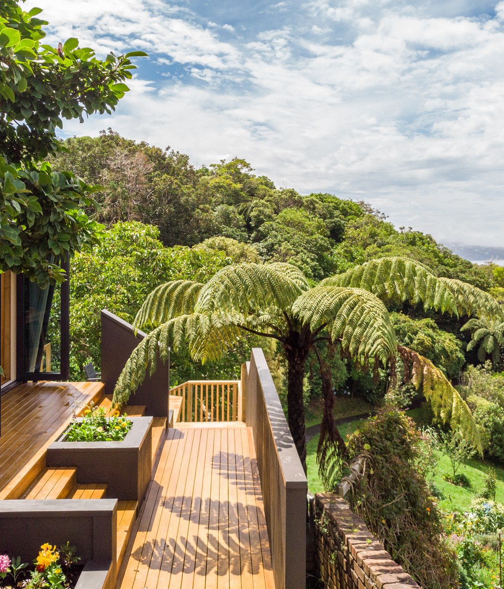 Modular magic: the award-winning housing solution transforming NZ backyards