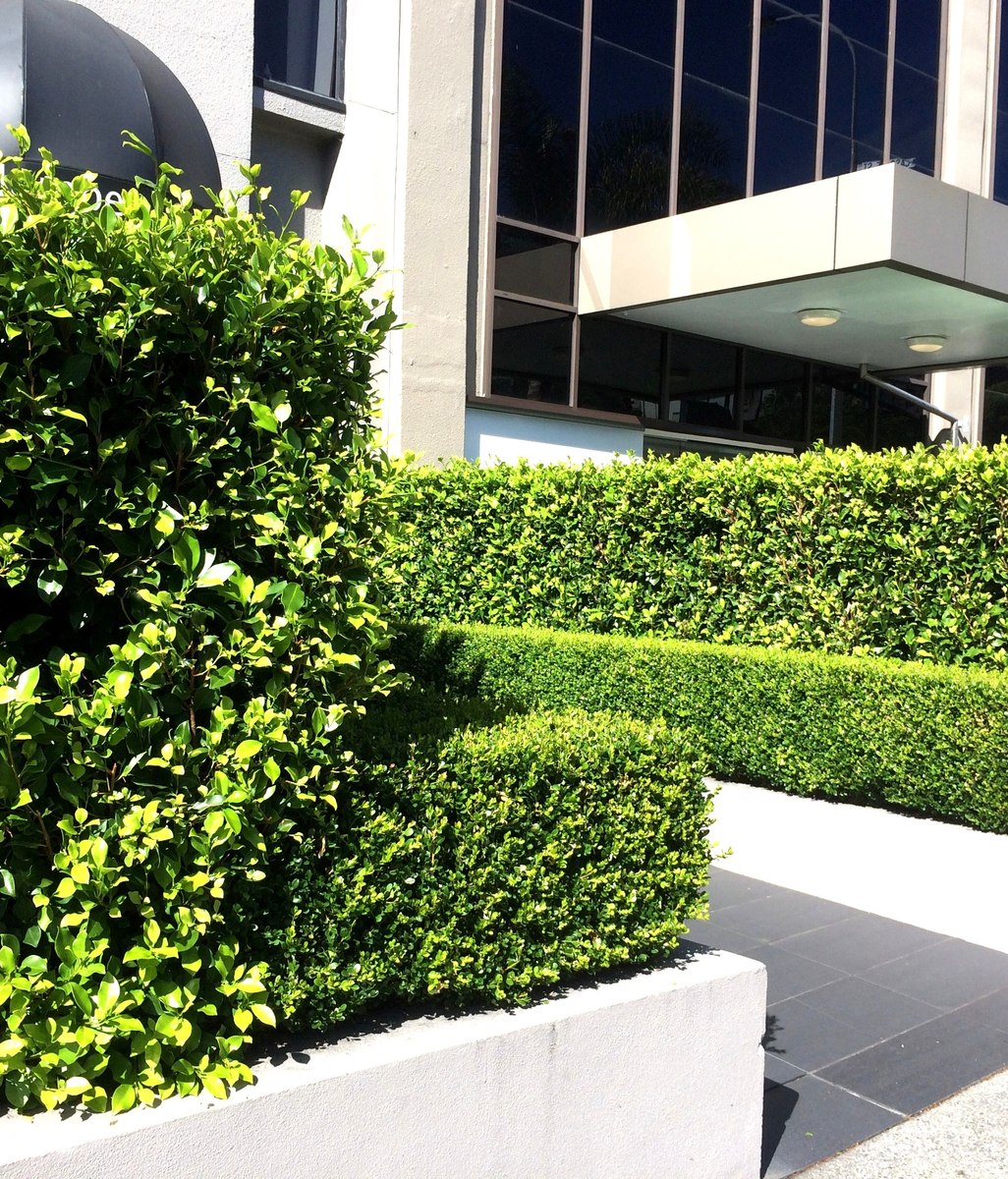 An Instant Hedge Is Years in the Making