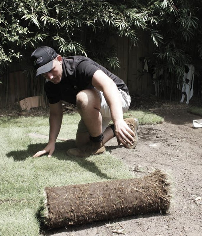 The Six Steps to laying your own lawn