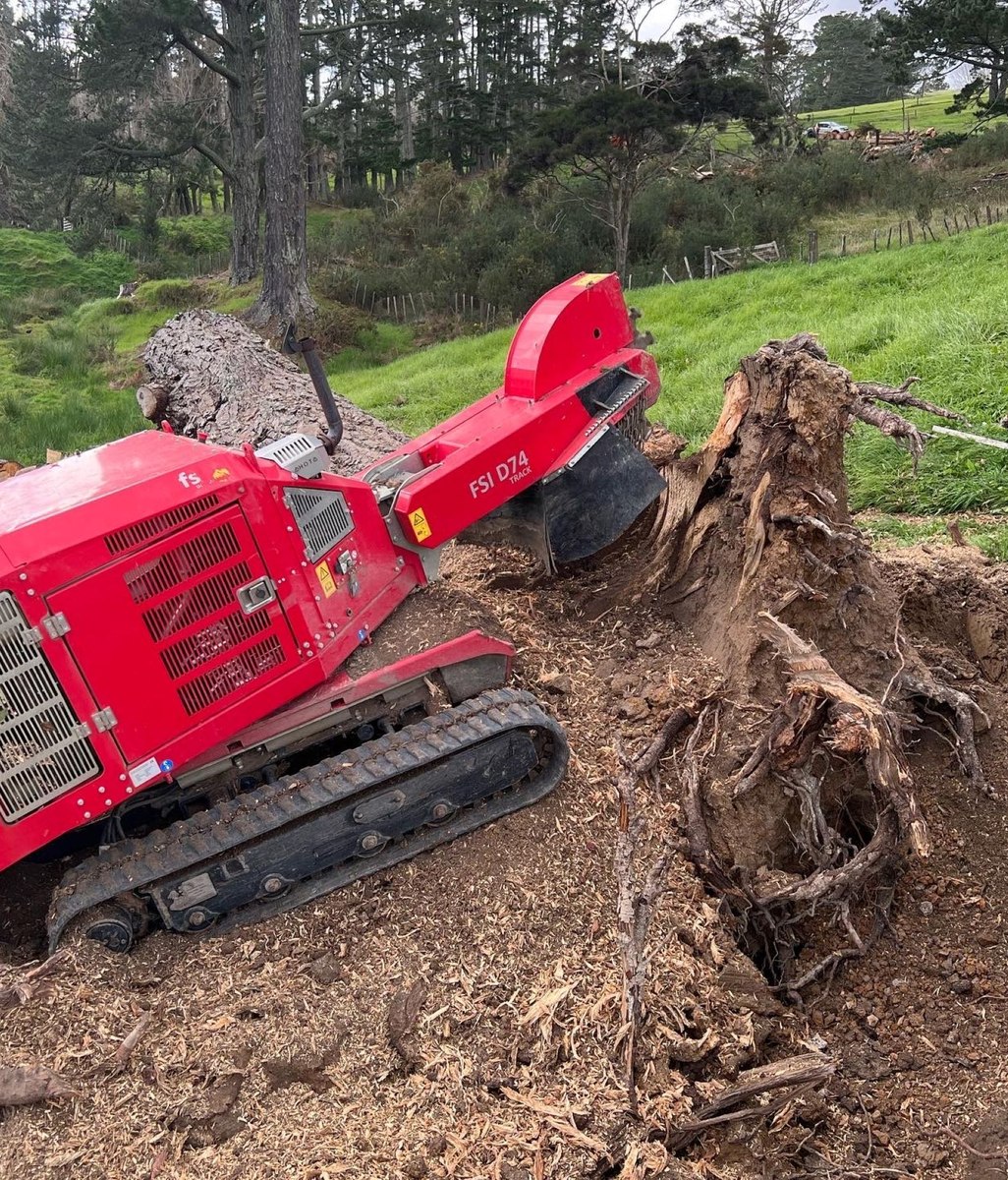 TREE STUMP GRINDING REMOVAL COSTS
