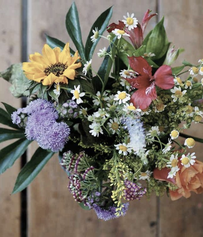 5 Plants That Will Add Colour to Your Autumn Garden