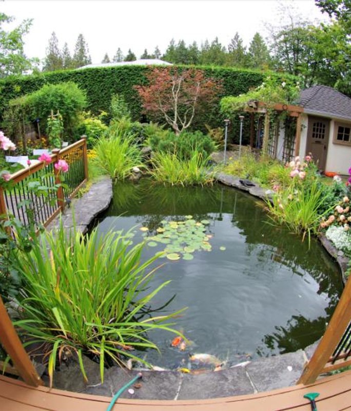 Tips to Select The Best Garden Features For Your Landscape