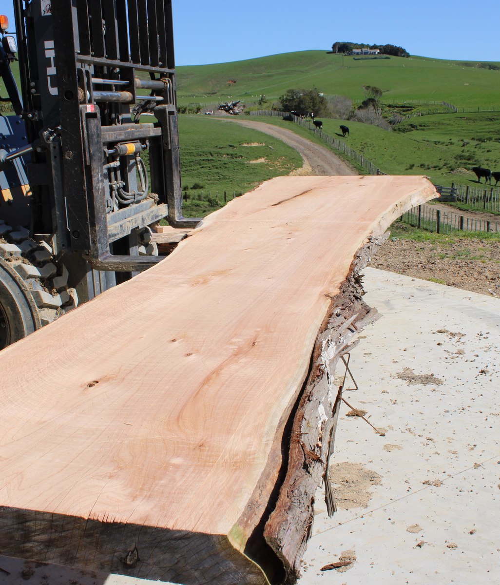 Wood Slab Size Guide: How to Measure and Choose the Right Dimensions