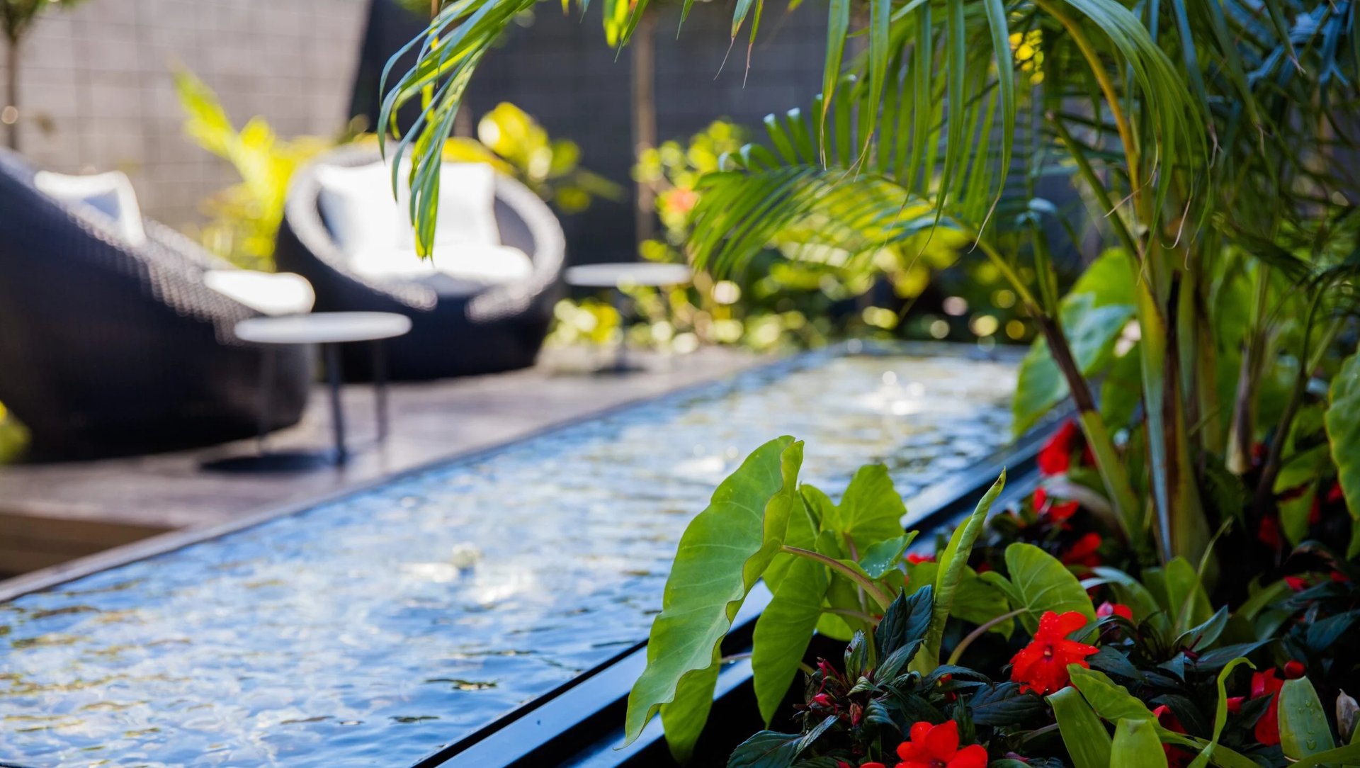 Tropical Garden Design: Everything You Need To Know