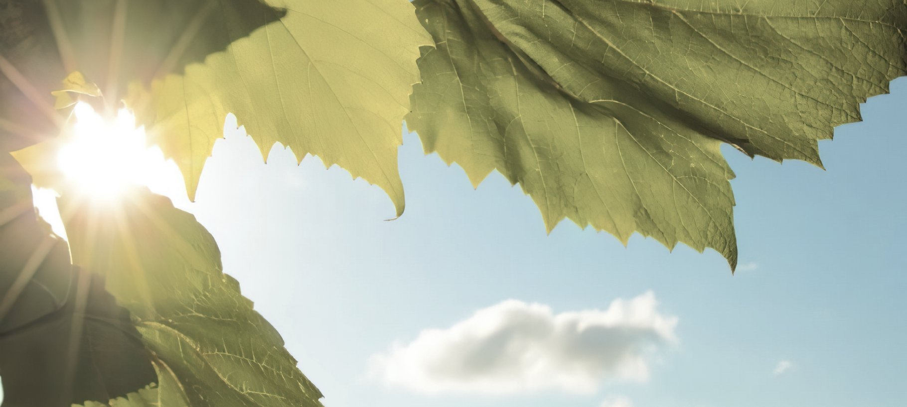 If your home is too hot in summer or too cool in winter, then