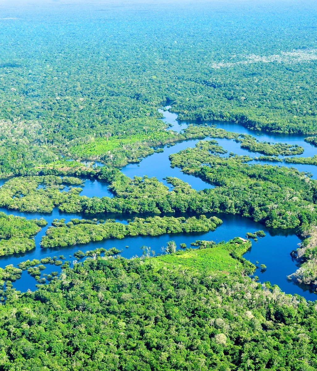 Opinion: why harvesting tropical rainforest hardwood from the Amazon is unsustainable