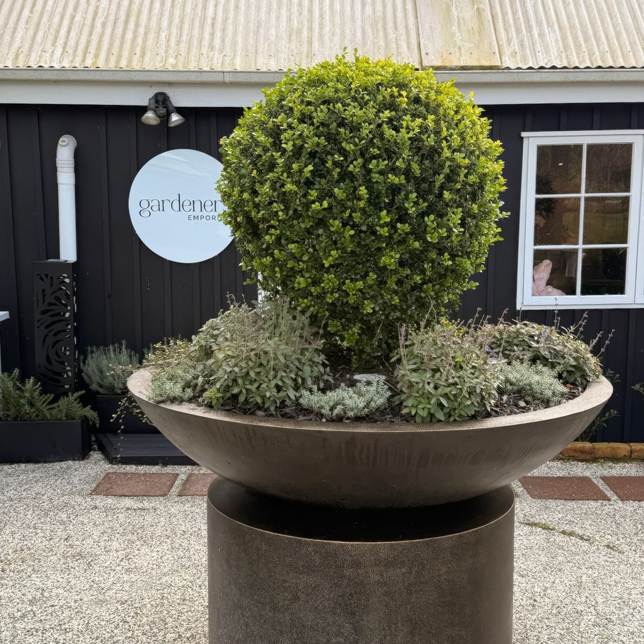 Gardeners Emporium’s new showrooms are changing the way we experience outdoor design