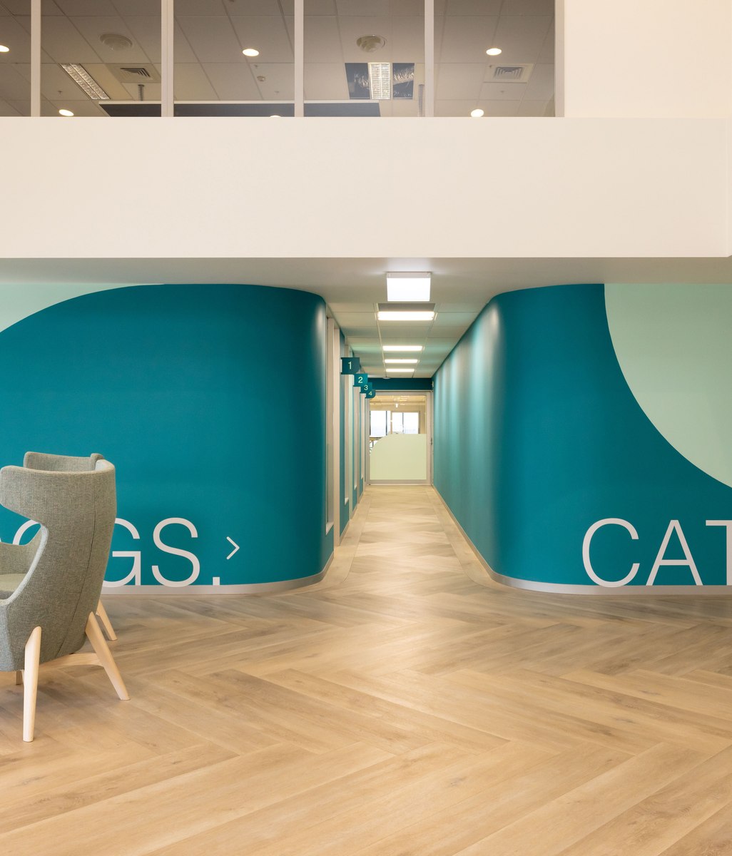 Transforming traditional commercial spaces through paint