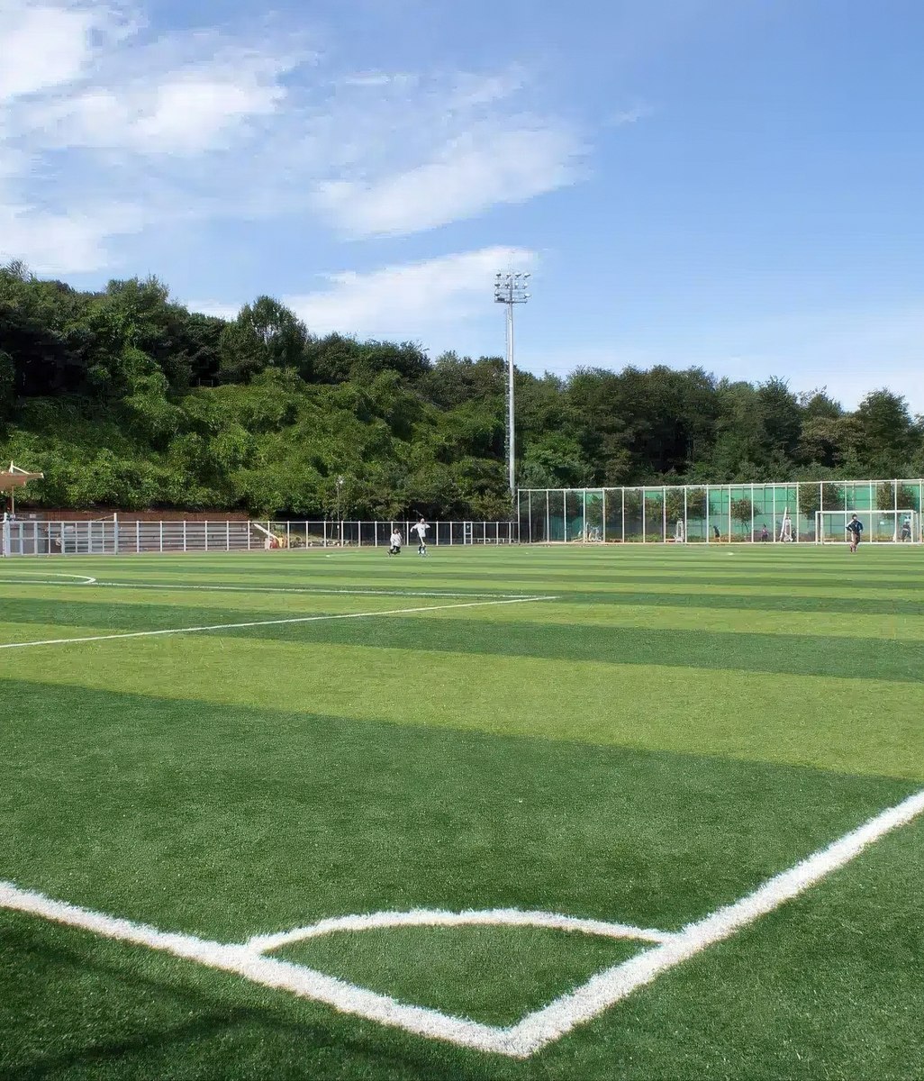 Commercial Artificial Grass and Synthetic Turf