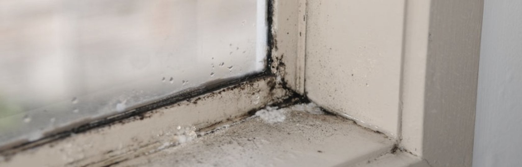 What is mould and how can uPVC windows help?
