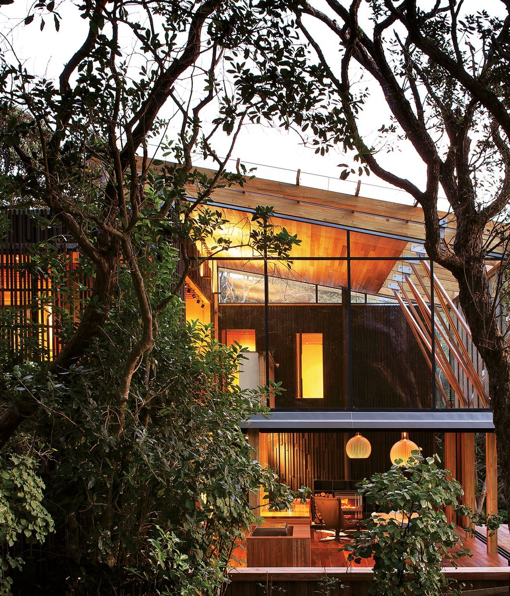 Illuminating with wood oil