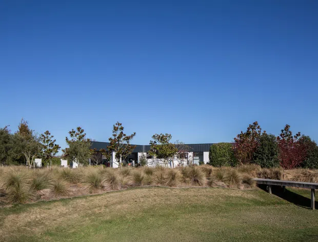 Low, contemporary building viewed across a landscaped grounds with ornamental grasses, shrubs, and young trees. The building has a long dark roofline, pale walls, and broad glazed openings, while a simple timber pedestrian bridge crosses the foreground. Clear blue sky and open landscaping dominate the exterior view.
