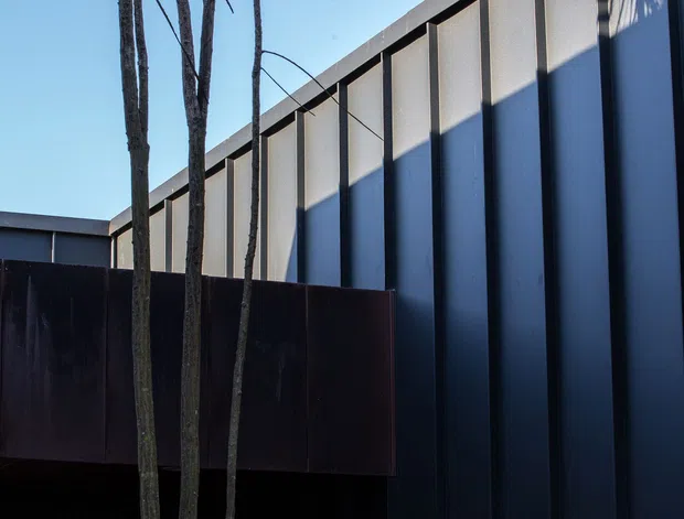 Close-up exterior architectural view of a contemporary dark-clad building, showing strong vertical panel articulation, a projecting upper structure, and a dark metal balcony or screen. Slender trees rise in front of the facade, with dramatic sunlight and shadow creating a high-contrast composition.